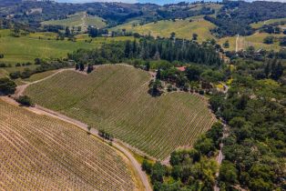 Single Family Residence,  Flora Ranch road, Healdsburg, CA 95448 - 6