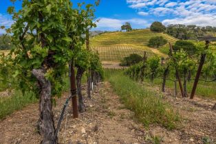 Single Family Residence,  Flora Ranch road, Healdsburg, CA 95448 - 63