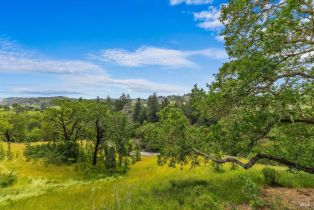 Single Family Residence,  Flora Ranch road, Healdsburg, CA 95448 - 60