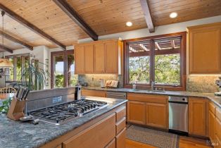 Single Family Residence,  Flora Ranch road, Healdsburg, CA 95448 - 30