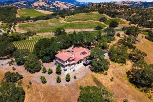 Single Family Residence,  Flora Ranch road, Healdsburg, CA 95448 - 13