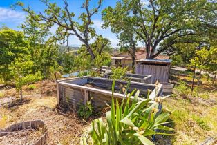 Single Family Residence,  Flora Ranch road, Healdsburg, CA 95448 - 61