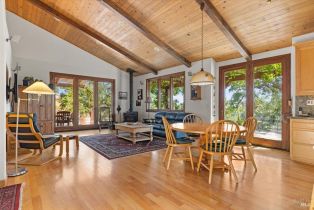 Single Family Residence,  Flora Ranch road, Healdsburg, CA 95448 - 32