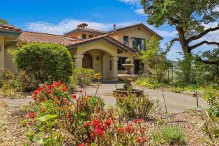 Single Family Residence,  Flora Ranch road, Healdsburg, CA 95448 - 17
