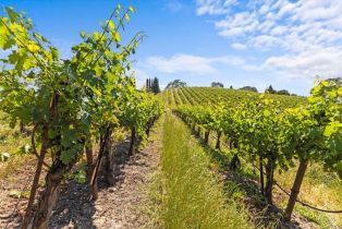 Single Family Residence,  Flora Ranch road, Healdsburg, CA 95448 - 11