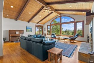 Single Family Residence,  Flora Ranch road, Healdsburg, CA 95448 - 22