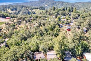 Single Family Residence,  Vila road, Russian River, CA 95436 - 33