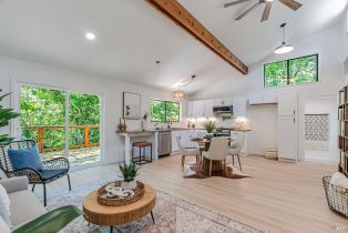 Single Family Residence,  Vila road, Russian River, CA 95436 - 9