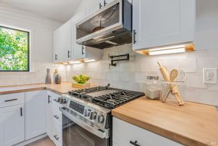 Single Family Residence,  Vila road, Russian River, CA 95436 - 12