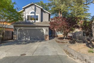 Single Family Residence, Cottonwood avenue, Sonoma, CA 95476 - 5