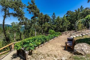 Single Family Residence, Crestmont drive, Angwin, CA 94508 - 70