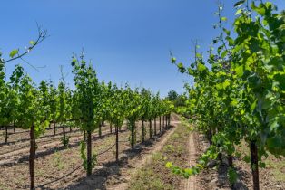 Agriculture,  Magnolia drive, Healdsburg, CA 95448 - 16