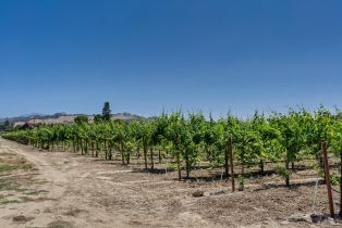 Agriculture,  Magnolia drive, Healdsburg, CA 95448 - 17