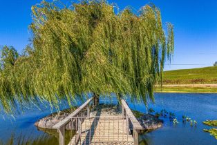 Single Family Residence,  Duhig road, Napa, CA 94559 - 16