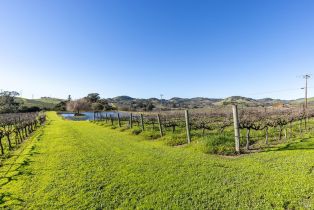 Single Family Residence,  Duhig road, Napa, CA 94559 - 61