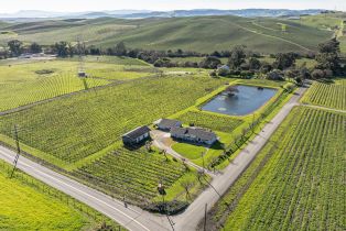 Single Family Residence,  Duhig road, Napa, CA 94559 - 44