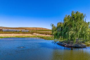Single Family Residence,  Duhig road, Napa, CA 94559 - 15
