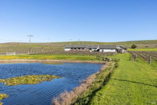 Single Family Residence,  Duhig road, Napa, CA 94559 - 66