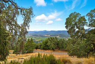 Single Family Residence,  Pine Mountain road, Cloverdale, CA 95425 - 64