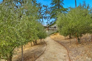Single Family Residence,  Pine Mountain road, Cloverdale, CA 95425 - 65