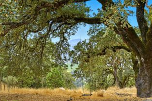 Single Family Residence,  Pine Mountain road, Cloverdale, CA 95425 - 66