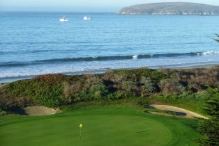 Single Family Residence, Swan drive, Bodega Bay, CA 94923 - 54