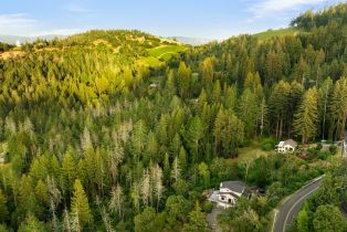 Single Family Residence, Mount Veeder road, Napa, CA 94558 - 21