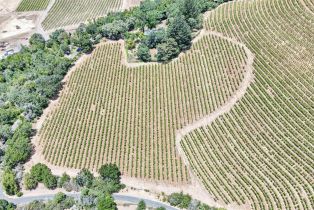 Single Family Residence,  Nelligan road, Glen Ellen, CA 95442 - 42