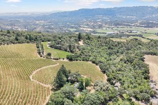 Single Family Residence,  Nelligan road, Glen Ellen, CA 95442 - 40