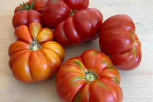 Single Family Residence,  Nelligan road, Glen Ellen, CA 95442 - 74