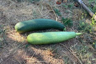 Single Family Residence,  Nelligan road, Glen Ellen, CA 95442 - 70