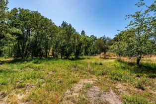 Residential Acreage,  Wood Valley road, Sonoma, CA 95476 - 5