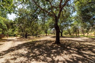 Residential Acreage,  Wood Valley road, Sonoma, CA 95476 - 4