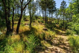 Residential Acreage,  Wood Valley road, Sonoma, CA 95476 - 14