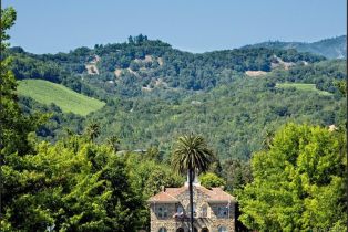 Residential Acreage,  Wood Valley road, Sonoma, CA 95476 - 26