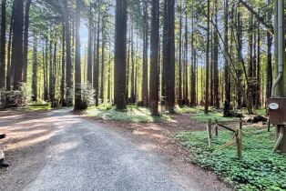 Residential Lot,  Cazadero highway, Russian River, CA 95421 - 26
