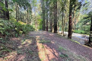 Residential Lot,  Cazadero highway, Russian River, CA 95421 - 18