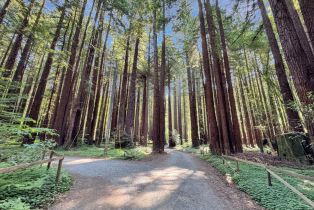 Residential Lot,  Cazadero highway, Russian River, CA 95421 - 23