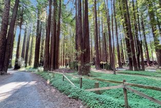 Residential Lot,  Cazadero highway, Russian River, CA 95421 - 25
