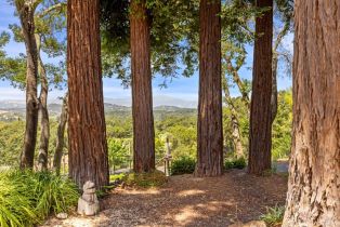 Single Family Residence, Country lane, Napa, CA 94558 - 5