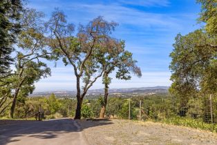Single Family Residence, Country lane, Napa, CA 94558 - 3