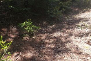 Residential Lot,  Old Monte Rio road, Russian River, CA 95446 - 10