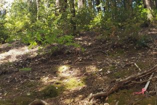 Residential Lot,  Old Monte Rio road, Russian River, CA 95446 - 3