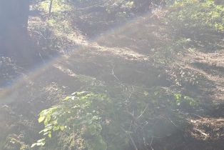 Residential Lot,  Old Monte Rio road, Russian River, CA 95446 - 5