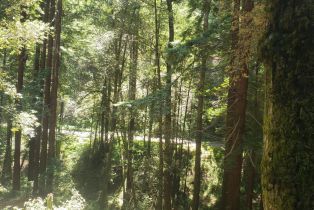 Residential Lot,  Old Monte Rio road, Russian River, CA 95446 - 16