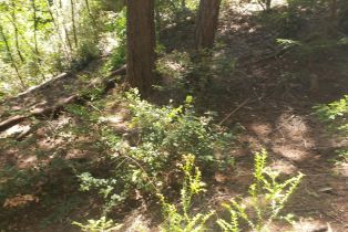 Residential Lot,  Old Monte Rio road, Russian River, CA 95446 - 11