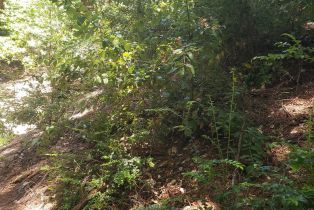 Residential Lot,  Old Monte Rio road, Russian River, CA 95446 - 15