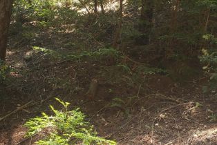 Residential Lot,  Old Monte Rio road, Russian River, CA 95446 - 8