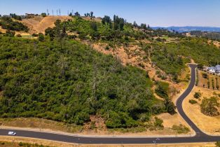 Residential Acreage,  Cross Creek road, Santa Rosa, CA 95403 - 12