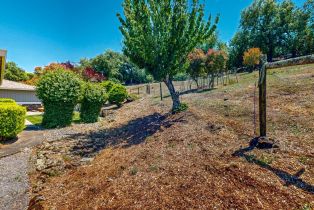 Single Family Residence,  Summit View Ranch road, Santa Rosa, CA 95404 - 47
